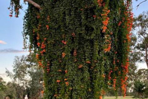 Amarina Farm Stay & Gardens - Hotel WA 6