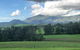 Woodenbong Roseberry House B & B - thumb 4
