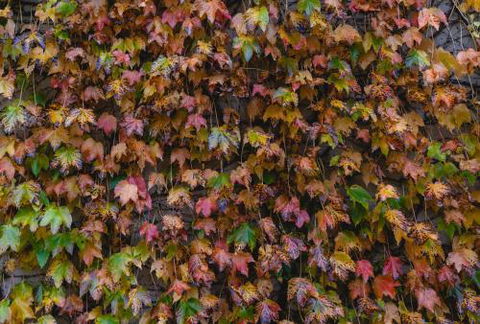 Killiorra - Hotel WA 1