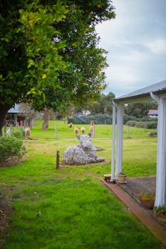 Davidsons Cottage - Hotel WA 5