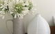 Beautiful Cottage, Ocean Views, Amazing Gardens, 12 Minute Walk To Beach - thumb 0