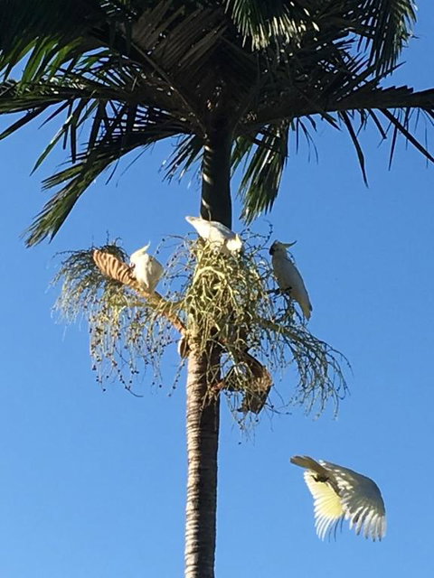 Palms Trinity Beach - Hotel WA 6