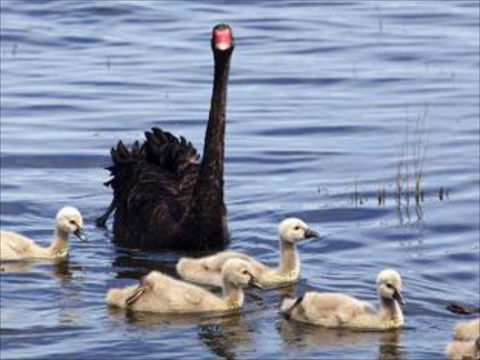 Armadale Farmstay Bed & Breakfast - Hotel WA 6