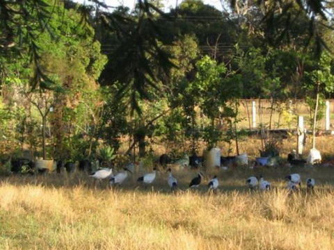 Armadale Farmstay Bed & Breakfast - Hotel WA 5