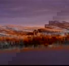 Wombat Hills Cottages - Hotel WA