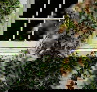 Fitzpatrick's Inn - Hotel WA