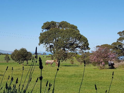 Dees Villa Bed & Breakfast - Hotel WA 6