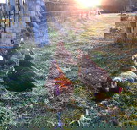 Bryn Glas Farm Stay - Hotel WA