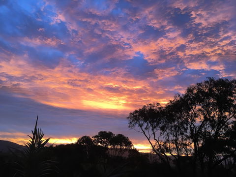 Bed & Breakfast At Kiama - Hotel WA 3