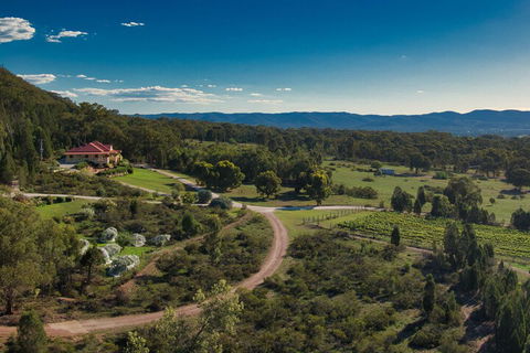 The Mudgee Homestead Guesthouse - Hotel WA 3