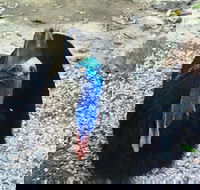 Licuala Lodge - Hotel WA