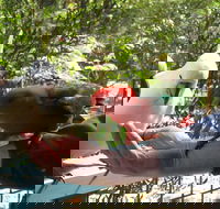 Lorne Bush House Cottages  Eco Retreats - Hotel WA