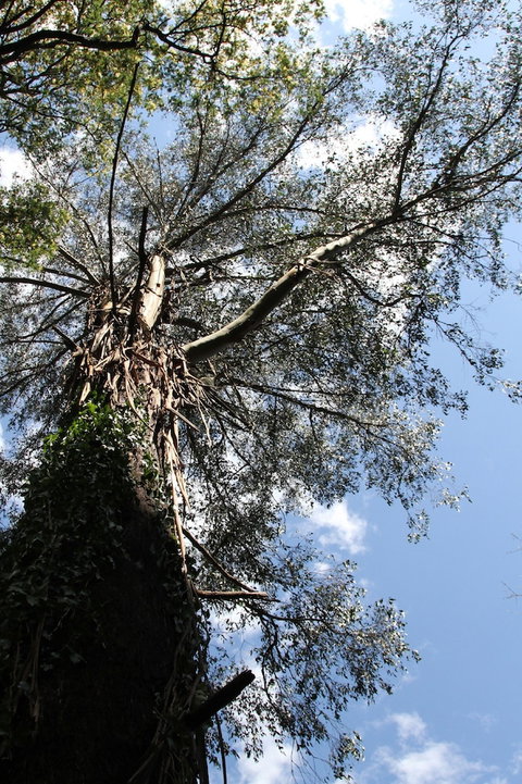 Gatehouse Cottage At Merrow Cottages - Mt Dandenong - Hotel WA 4