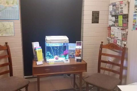 Bairnsdale Town Central Motel - Hotel WA 4