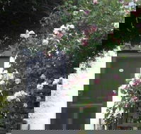 Ivy on Glenelg - Hotel WA