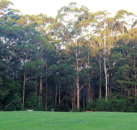 Tinglewood Cabins - Hotel WA