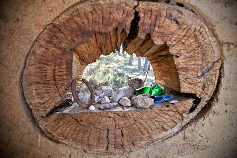 Snowy Wilderness - Hotel WA 1