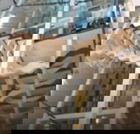 Platinum Suites Fremantle - Hotel WA