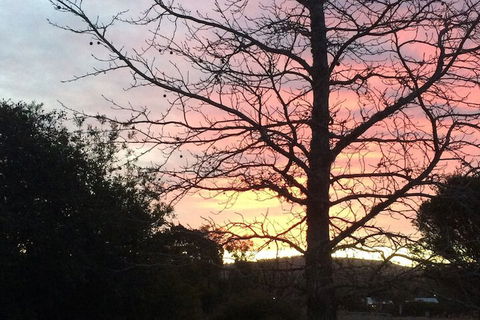 Idlewilde Town & Country Motor Inn - Hotel WA 1