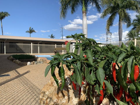 Silo Motor Inn - Hotel WA 6