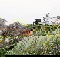 A Must At Coonawarra - Hotel WA