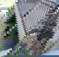 Swan Lake Guest House - Hotel WA