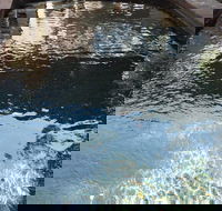 Town  Country Motel - Hotel WA