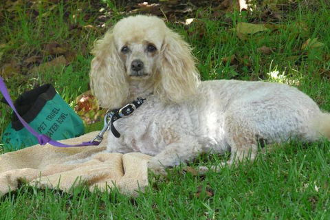 Granite Gardens Cottages & Lake Retreat - Hotel WA 6