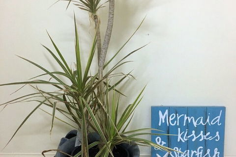 Al Mare Beachfront Retreat - Hotel WA 2