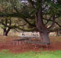 Auburn Shiraz Motel - Hotel WA