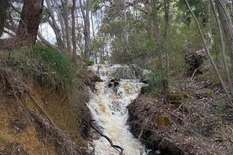 Donnelly Lakes - Hotel WA 5