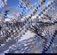 Ripparoo Ski Lodge - Hotel WA