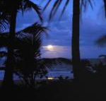 Sejala Beach Huts - Hotel WA