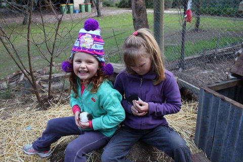 Fernleigh Farmstay & Bike Park - Hotel WA 3