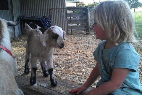 Fernleigh Farmstay & Bike Park - Hotel WA 5