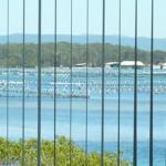 Montgomery Apartments - Hotel WA 1