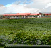 Turners Vineyard Motel and Function Centre - Hotel WA