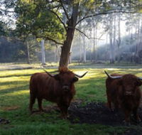 Dingley Dell - Hotel WA