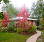 Dalrymples Guest Cottages - Hotel WA