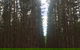 Morella Farm Stay - thumb 6