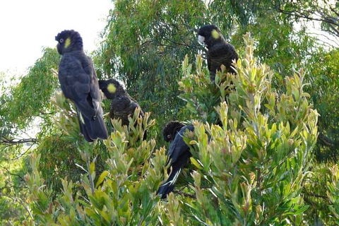 Eagles Rise Tasmania - Hotel WA 5