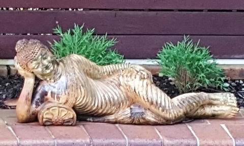 Ballina Palms Boutique Motel - Hotel WA 1