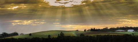 Hanging Tree Wines - Hotel WA 5