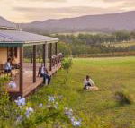 Hanging Tree Wines - Hotel WA