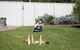 Echuca Moama Holiday Villas - thumb 4