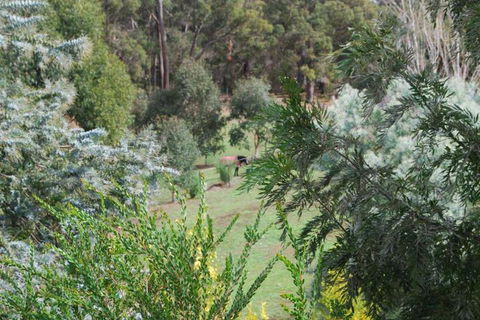 Riverwood Retreat - Hotel WA 4