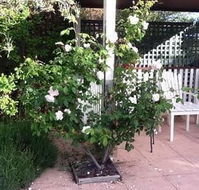 Ellesmere House - Hotel WA