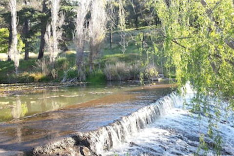 Avocados Accommodation - Hotel WA 0