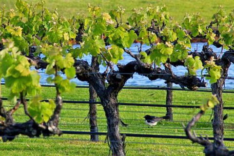 Toby Inlet Bed & Breakfast - Hotel WA 7