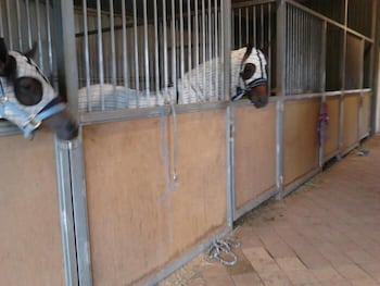 Cabarita Lodge - Hotel WA 1